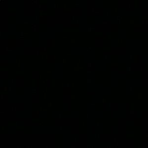 Meet your Posher, Tiger